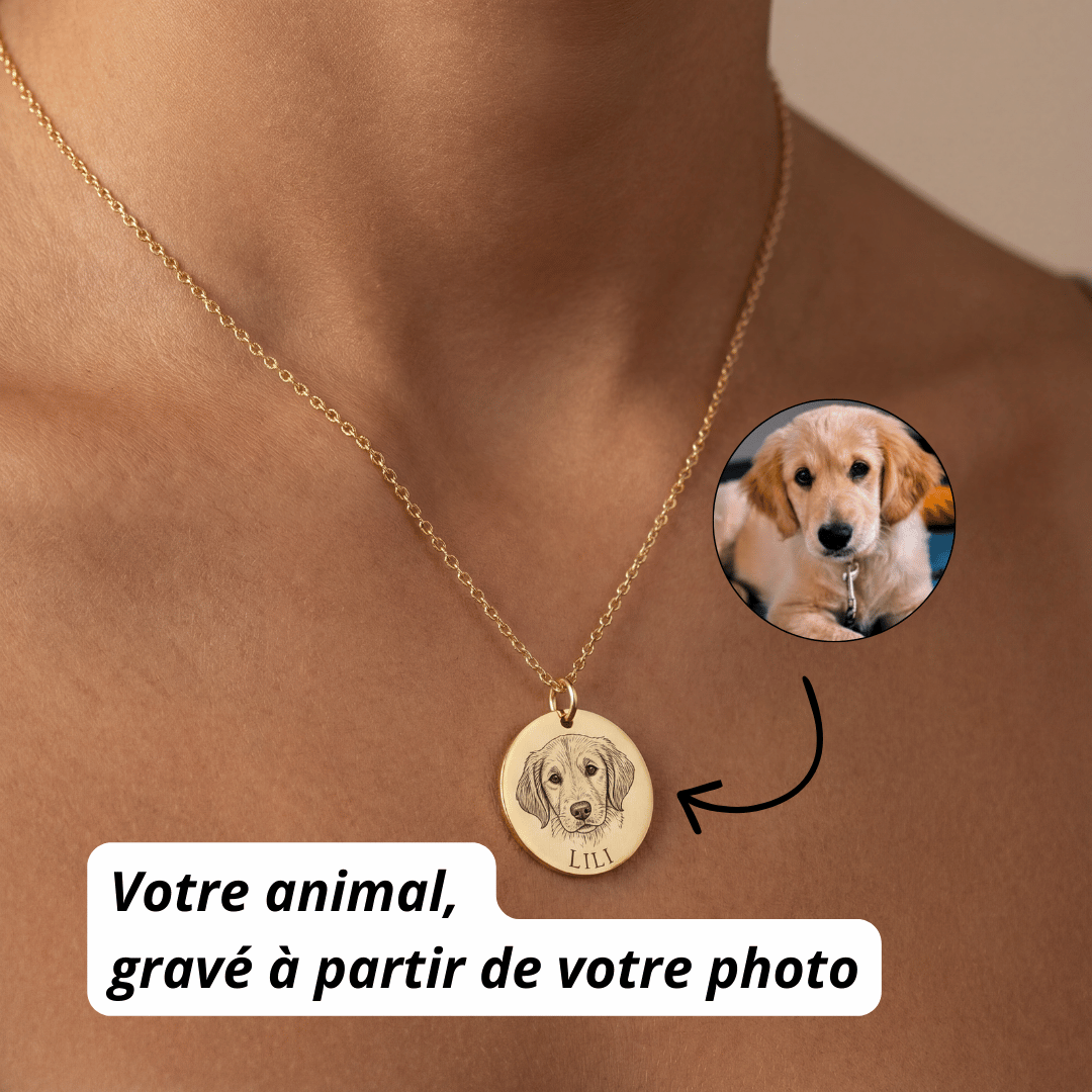 Le collier gravé à partir de la photo de votre animal
