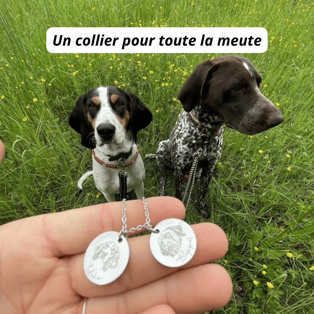 Le collier gravé à partir de la photo de votre animal