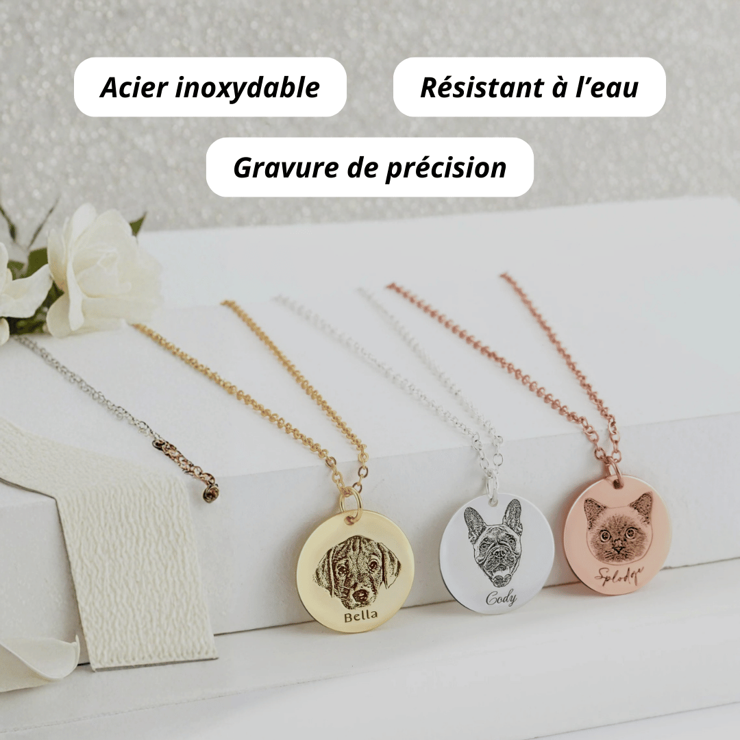 Le collier gravé à partir de la photo de votre animal